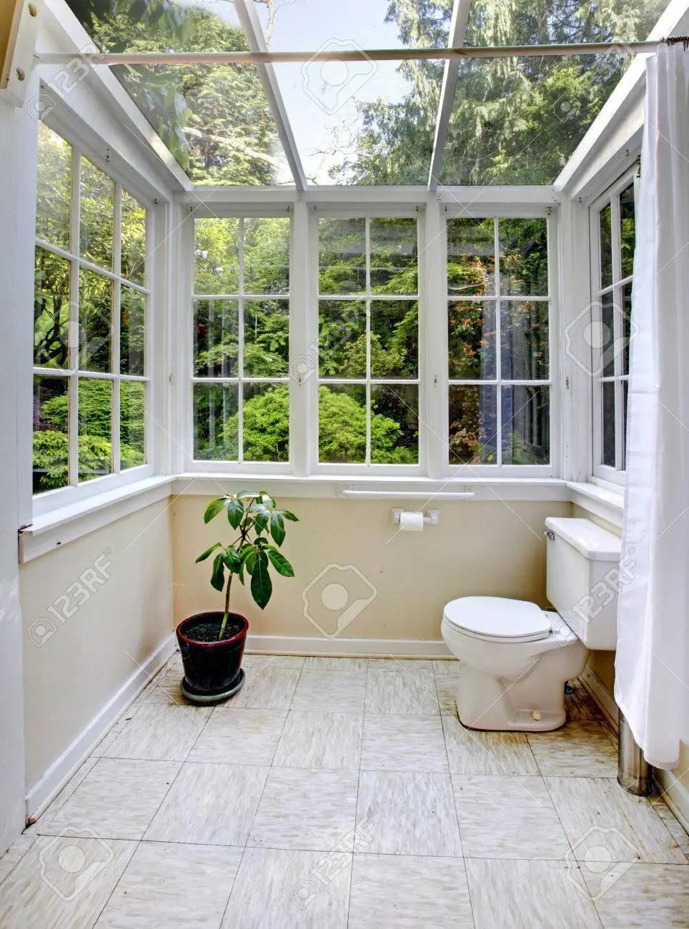 baño con techo de vidrio - Cuál es el mejor techo para el baño