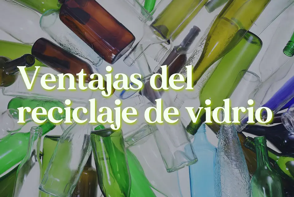 ventajas y desventajas de reciclar vidrio - Cuáles son las desventajas del vidrio