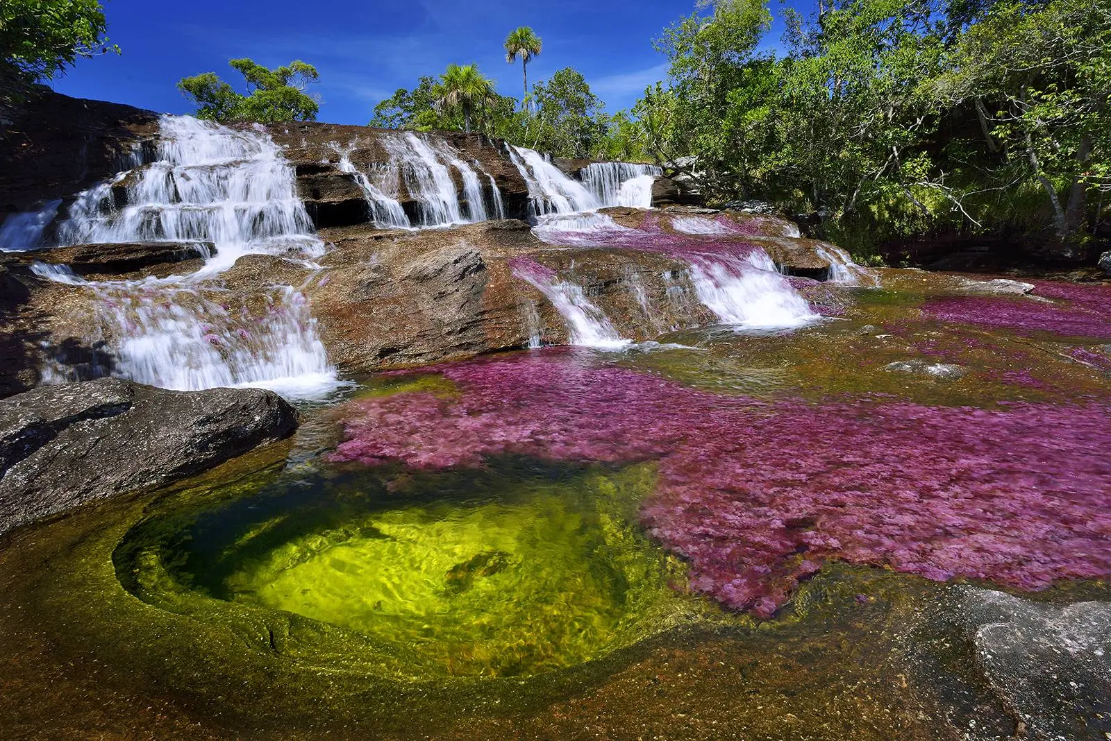 caño cristales colombia - Qué distancia hay de Bogotá a Caño Cristales