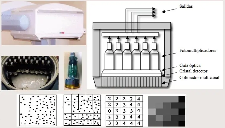 El Cristal De Centelleo En La Cámara Gamma Fundamento Clave En Medicina Nuclear Cristalizando 4087